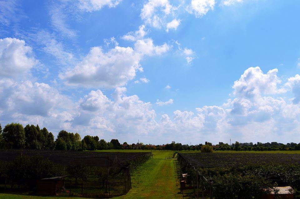 Agriturismo Sartori Terenzio Quinto Vicentino Zewnętrze zdjęcie